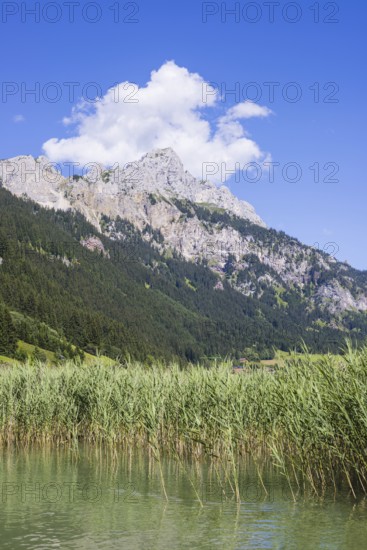 Haldensee, Tannheimer Tal, behind it the Rote Flüh, 2108m, Tannheimer Berge, Allgäu Alps, Tyrol, Austria