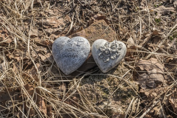 Hearts with inscription, natural burial grave site, Friedwald, Reinhardswald Forest, Weser Uplands, district of Kassel, Hesse, Germany