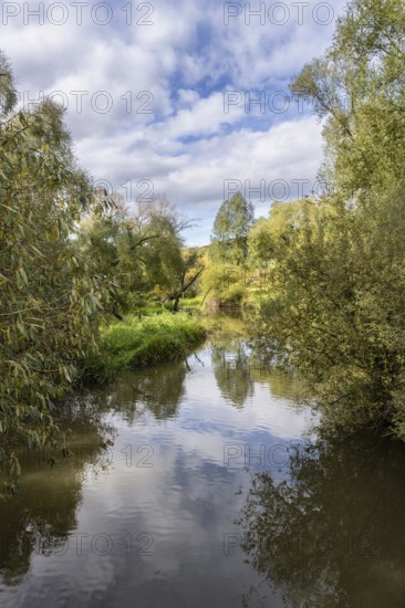 The Stockacher Aach flows through the autumn-coloured Stockacher Aachried into western Lake Constance, Hegau, Bodman-Ludwigshafen, Stockach, district of Constance, Baden-Württemberg, Germany