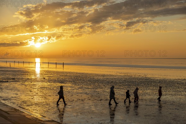 Mudflat hiker at sunset, family, 5 persons, mudflats, North Sea, East Frisia, Norddeich, Lower Saxony, Federal Republic of Germany