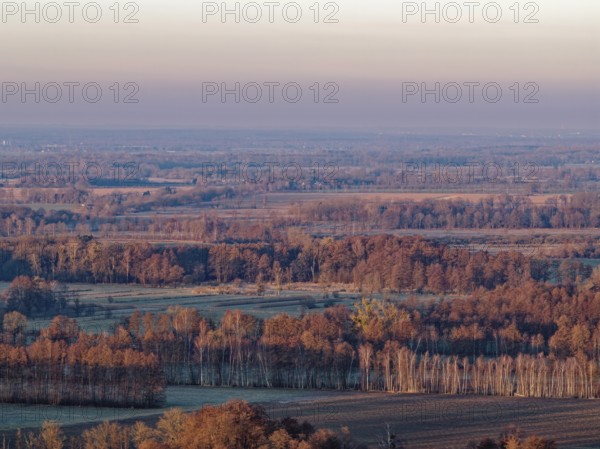 Landscape in the Drömling UNESCO Biosphere Reserve in the Altmark at dawn on a cold spring day. The tree tops are reddish in the morning light. aerial view. Dannenfeld, Gardelegen, Saxony-Anhalt, Germany