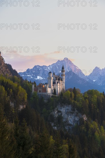Romantic Neuschwanstein Castle in front of picturesque Alps, Schwangau near Füssen, Ostallgäu district, Swabia, Bavaria, Germany