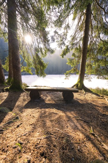 A quiet seating area in the forest with sunlight, view of a lake, calming atmosphere, Glaswaldsee, Bad Rippoldsau-Schapbach, Wolfach district, Black Forest, Germany