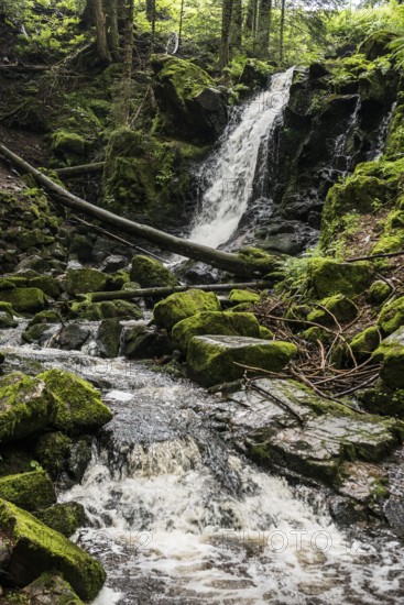 Waterfall, Windberg Waterfall, St Blasien, Southern Black Forest, Black Forest, Germany