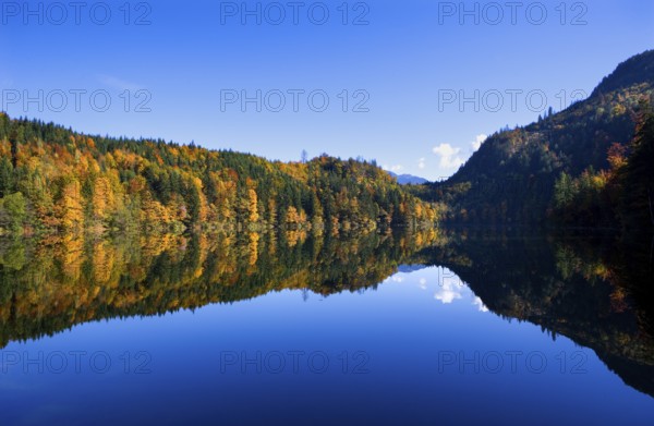 Mountain lake, Colourful autumn forest reflected in the Nussensee, Salzkammergut, Salzburg province, Austria