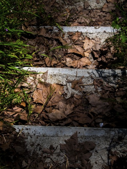 Tree leaves fallen on the steps of a staircase .Nevers. Nievre departement. France