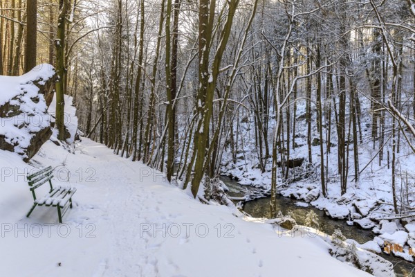 Hiking trail in the snow in the Wesenitz valley along the Wesenitz, Dürrröhrsdorf-Dittersbach, Saxony, Germany