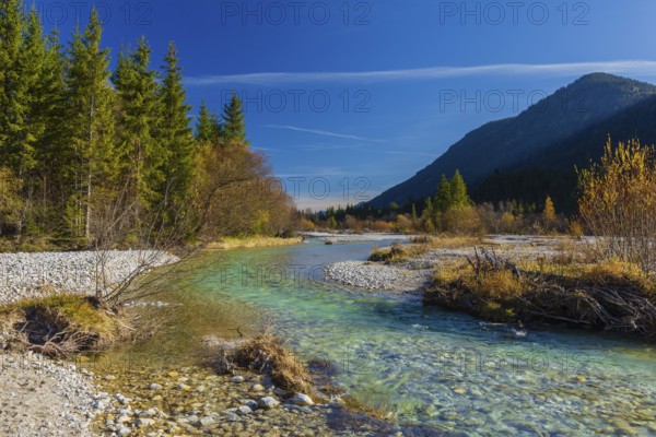 Isar valley nature conservancy area. The wild Isar river flows through its gravel bed past driftwood and entrained trees and bushes . Early morning