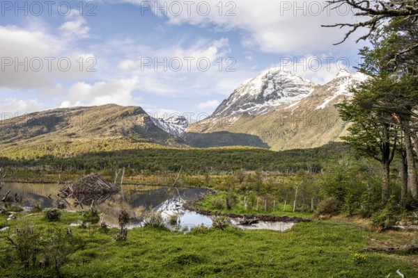 Mountain peaks, Laguna Victoria, Provinz Tierra del Fuego, Argentina