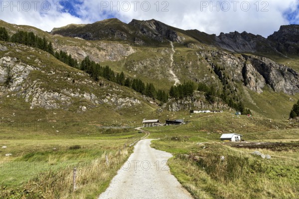 Sambuco valley, Vale Sambuco, behind Alpe Campo la Torba -Dazio and Ticino mountains, near Fusio, Lavizzara, Canton Ticino, Switzerland