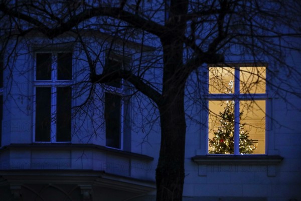 Luminous Christmas tree in a flat. Due to the corona pandemic, Christmas parties are only allowed in the smallest family circle, Berlin, 21.12.2020