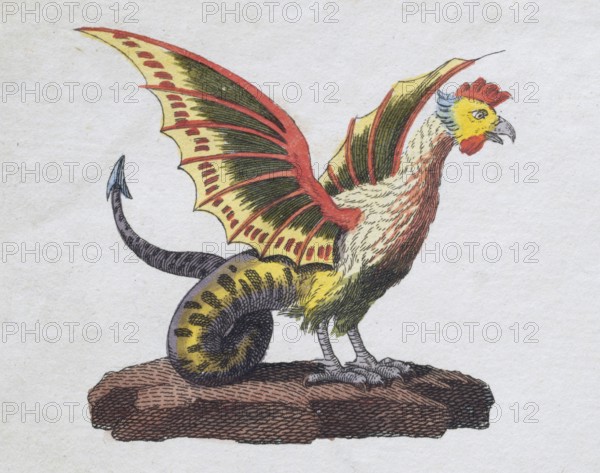 Basilisk, mythical creature, hand-coloured copperplate engraving, from Friedrich Justin Bertuch's picture book for children, Vienna 1801
