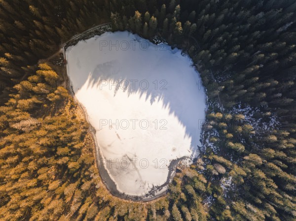 A frozen lake in the middle of a dense forest, photographed from the air, Glaswaldsee, Bad Rippoldsau-Schapbach, Black Forest, Germany