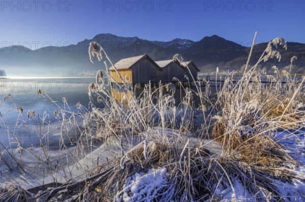 Boat huts, icy shore, lake, morning light, fog, snow, winter, mountains, Lake Kochel, Schlehdorf, behind Herzogstand, Heimgarten, Alpine foothills, Bavaria, Germany