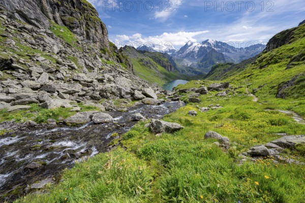 Mountain stream and mountain lake Lac de Louvie with glaciated summit of the Grand Combin, Val de Bagnes, Valais, Switzerland