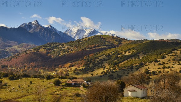 Autumn landscape with houses in front of snow-covered mountains and bright sky, autumn leaves, Erymanthos Mountains, northwest of the Peloponnese peninsula, Peloponnese, Greece
