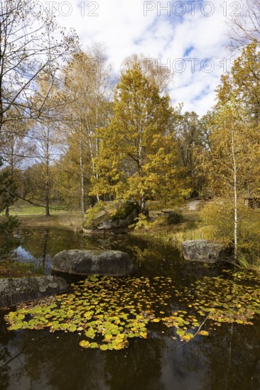 Fish pond with granite rocks in the Blockheide nature park Park near Gmünd, Waldviertel, Lower Austria, Austria