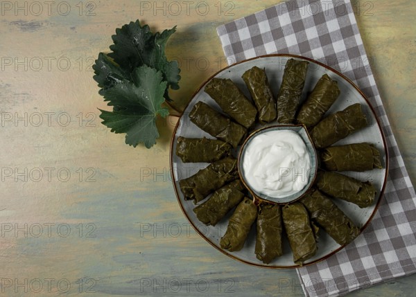 Dolma, cabbage rolls in grape leaves, Traditional Armenian dish, with white sauce, top view, close-up, selective focus