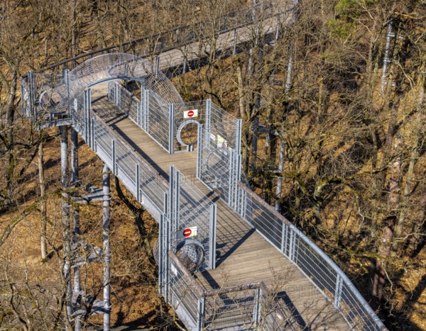 Treetop path on the historic site of the former tuberculosis sanatorium in Beelitz, Brandenburg, Germany