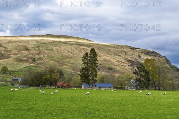 Farm and mountains, Loch Earn, Southern Highlands, Scotland, United Kingdom