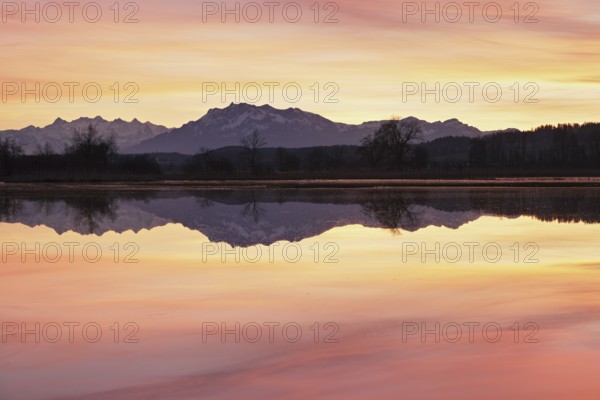 Pilatus reflected in the flooded nature reserve in the evening light, Reussspitz, Hünenberg, Canton Zug, Switzerland