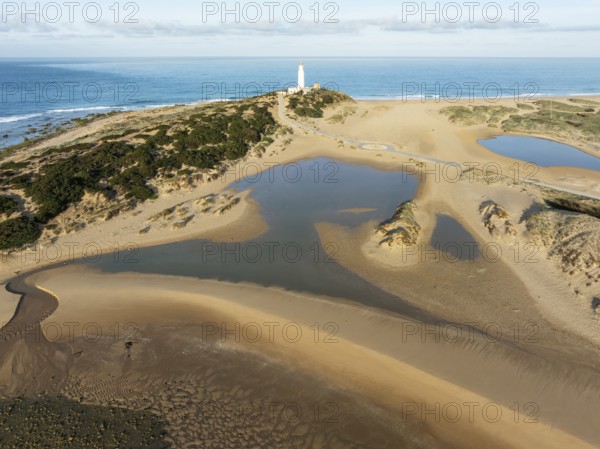 Cape Trafalgar at the Atlantic Ocean at low tide. Aerial view. Drone shot. Costa de la Luz, Cádiz province, Andalusia, Spain