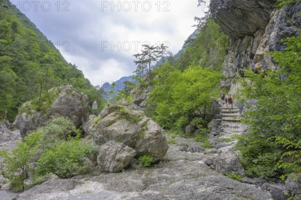 Hiking trail at the Pozze Smeraldine, Tramonti di Sopra, Province of Pordenone, Italy