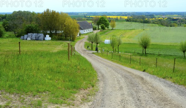 Small gravel road in landscape with farmhouse on Romele ridge, Skurup municipality, Skåne county, Sweden, Scandinavia