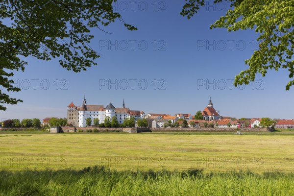 Town view from the east across the Elbe with Hartenfels Castle and St Mary's Church, Torgau, Saxony, Germany