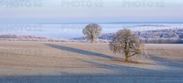 View of the Unstrut valley in winter, fields, trees and forests covered with hoarfrost, fog in the valley, Memleben, Saxony-Anhalt, Germany