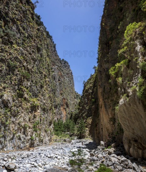 Hiking trail through the Samaria Gorge, south coast, Crete, Greece