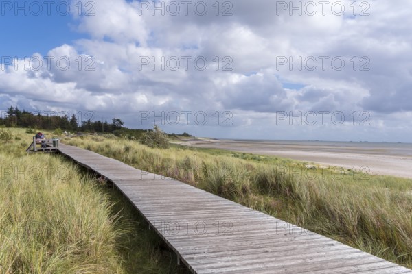 Wooden footbridge, in the dunes between Nieblum and GrevelingInsel, Föhr, North Frisia, Schleswig-Holstein, Germany