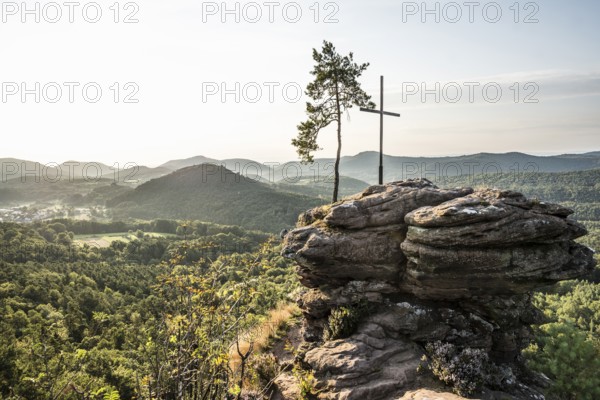 Sandstone rock with pine tree and summit cross, Rötzenfelsen, sunrise, Gossersweiler-Stein, Palatinate Forest, Palatinate Forest, Rhineland-Palatinate, Germany