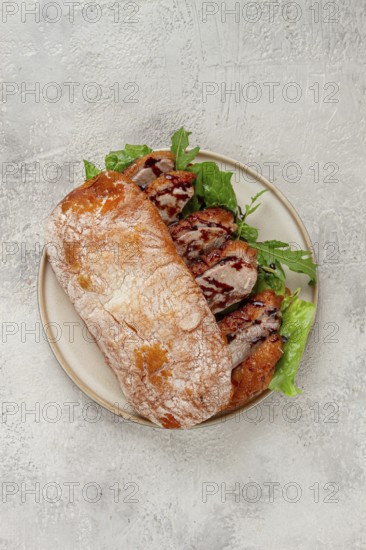 Sandwich with duck breast and arugula, balsamic sauce, on a light plate, breakfast, homemade, no people