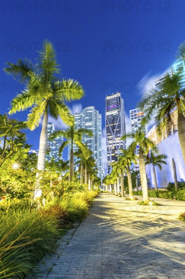Miami skyline with skyscrapers at Maurice A. Ferré Park at night in Miami, USA