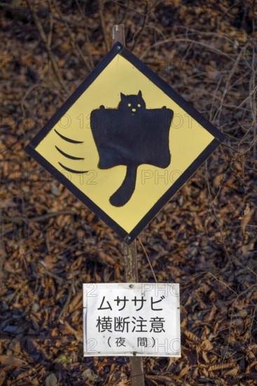 Curious shield, warning against Japanese Giant Squirrel (Petaurista leucogenys), near Kariuzawa, Nagano Prefecture, Honshu Island, Japan