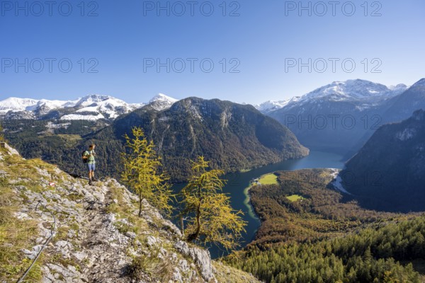 Mountaineer on an exposed mountain hiking trail, Rinnkendlsteig, view of the Königssee, autumnal forest and yellow larches with snow-covered mountains, Berchtesgaden National Park, Berchtesgadener Land, Upper Bavaria, Bavaria, Germany
