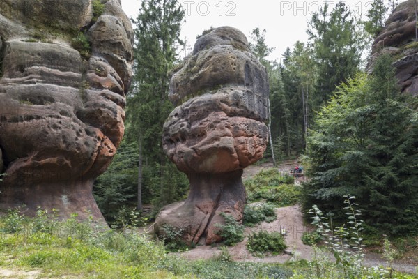 Natural monument Kelchsteine with mushroom rock Kelchstein near Oybin, Zittau Mountains, Saxony, Germany
