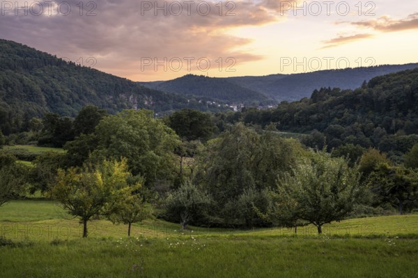Landscape near Dilsberg in the Neckartal-Odenwald nature park. In the background, houses in Neckargemünd and wooded areas of the Königstuhl. Sunset. Neckargemünd, Kleiner Odenwald, Rhine-Neckar district, Baden-Württemberg, Germany