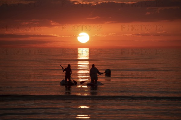Two people paddling in the calm sea at sunset on stand-up paddle, silhouettes against a bright horizon and clouds, Baltic Sea peninsula Fischland-Darß-Zingst, Dierhagen, Mecklenburg-Vorpommern, Germany