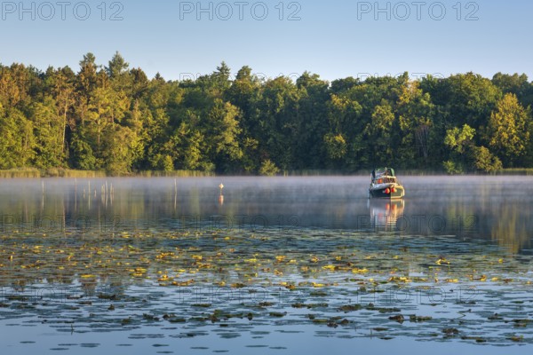 Morning atmosphere at Lake Grienerick, boat anchored, morning mist on the water, water lilies in front, Rheinsberg, Brandenburg, Germany