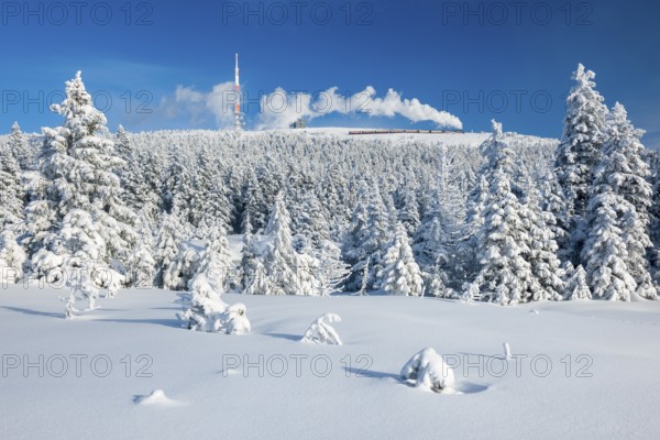 Deep snowy winter landscape with snow-covered spruce forest, view of the Brocken, the Brocken railway runs to the summit, Harz National Park, Saxony-Anhalt, Germany