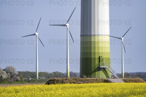 Wind turbines, wind farm, near Kerken, rape field in bloom, Lower Rhine, North Rhine-Westphalia, Germany