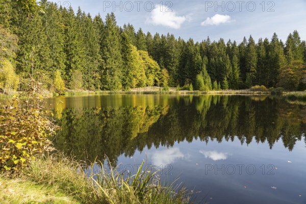 Pond with reflection of the forest in the water, autumn, raft pond near Muldenhammer, Vogtland, Saxony, Germany