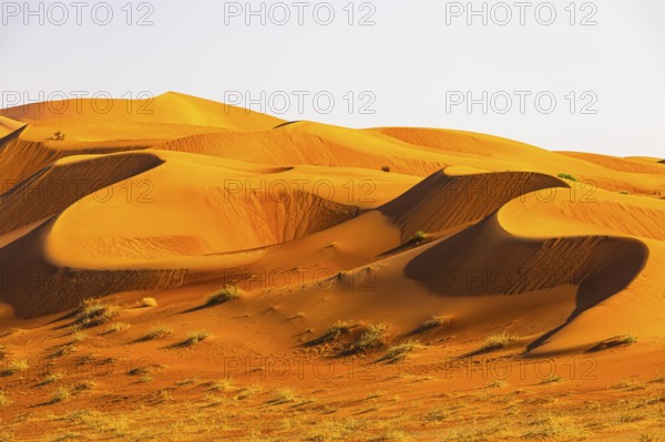 Wind-sculpted curved sand dunes in the Rub al Khali desert, Dhofar province, Arabian Peninsula, Sultanate of Oman