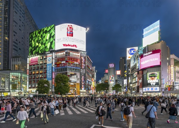 Shibuya crossing at night, Tokyo, Japan