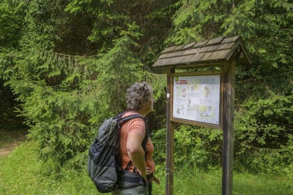 Hiker looking at a signpost about the danger of ticks (Ixodida), Tramonti di Sopra, Province of Pordenone, Italy