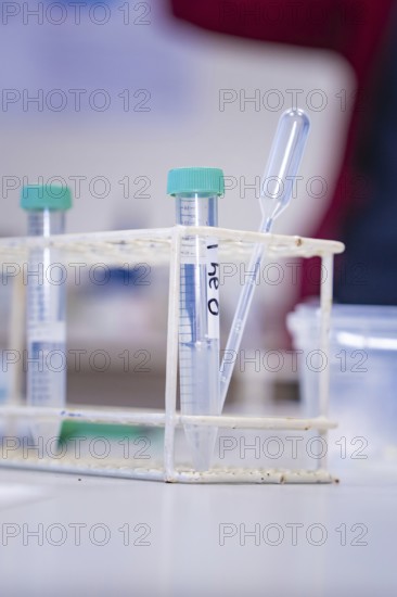 Test tubes in a rack with pipette in a laboratory environment, Nagold Youth Research Centre, Black Forest North, Calw district, Germany