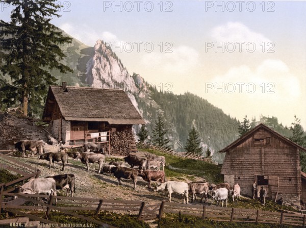 Emsigenalp with Sennhuetten, Pilatus, Switzerland, Historical, digitally restored reproduction from a 19th century original, Record date not stated