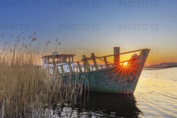 Fishing boat along reed bed at sunset on the island of Usedom, Mecklenburg-Vorpommern, Germany